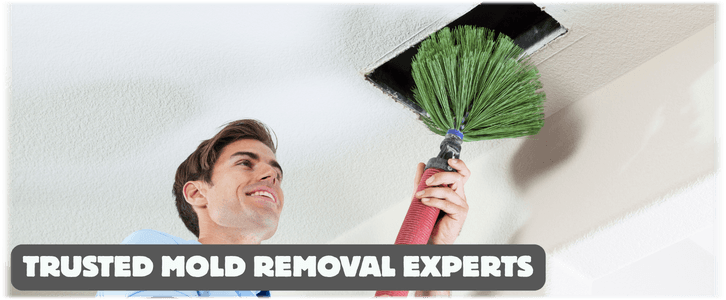 Air Duct Mold Removal in Philadelphia